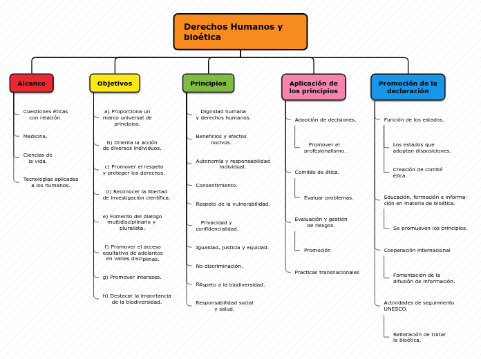 Derechos Humanos y bioética - Mapa Mental