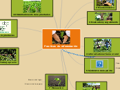Practicas de reforestación - Mapa Mental
