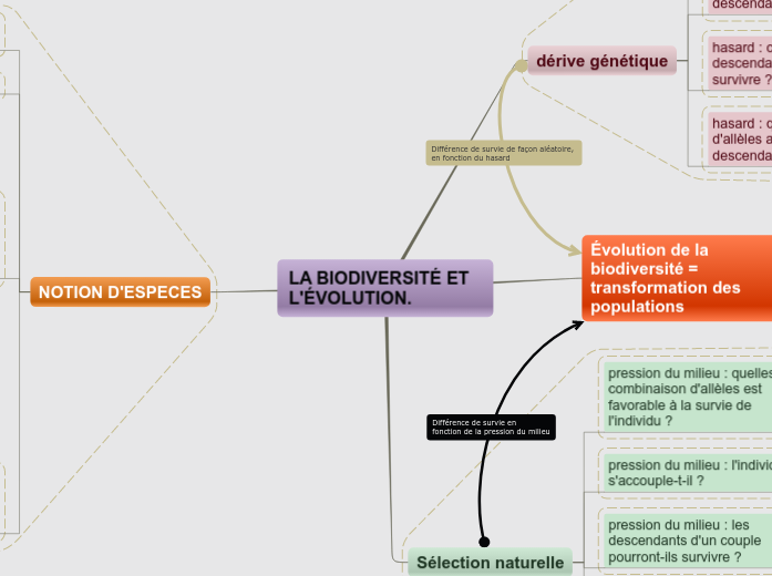 LA BIODIVERSITÉ ET L'ÉVOLUTION. - Carte Mentale