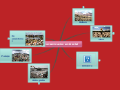 Contaminacion ambiental - Mind Map