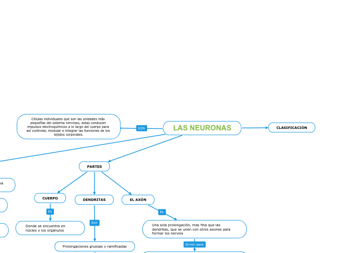 LAS NEURONAS 