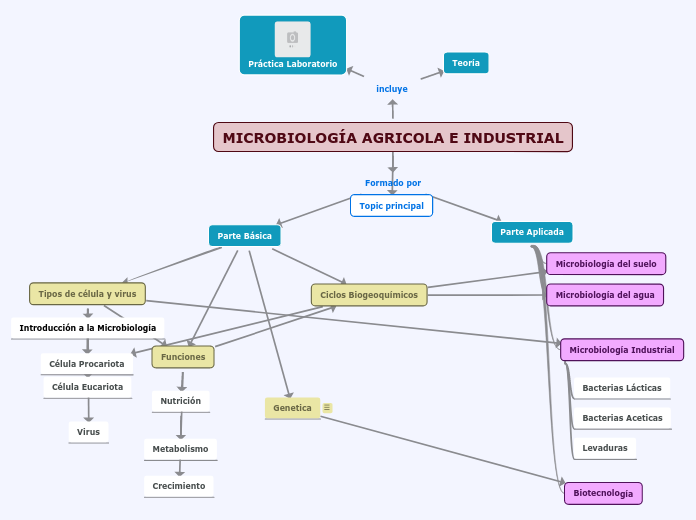 MICROBIOLOGÍA AGRICOLA E INDUSTRIAL - Mapa Mental