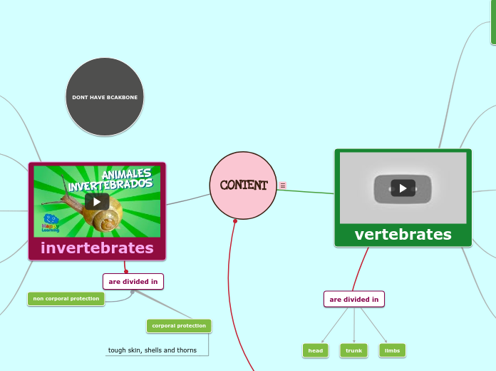 CONTENT - Mapa Mental