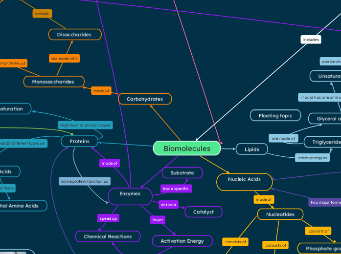 Biological Systems - Mind Map