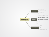 saggio breve - Mappa Mentale