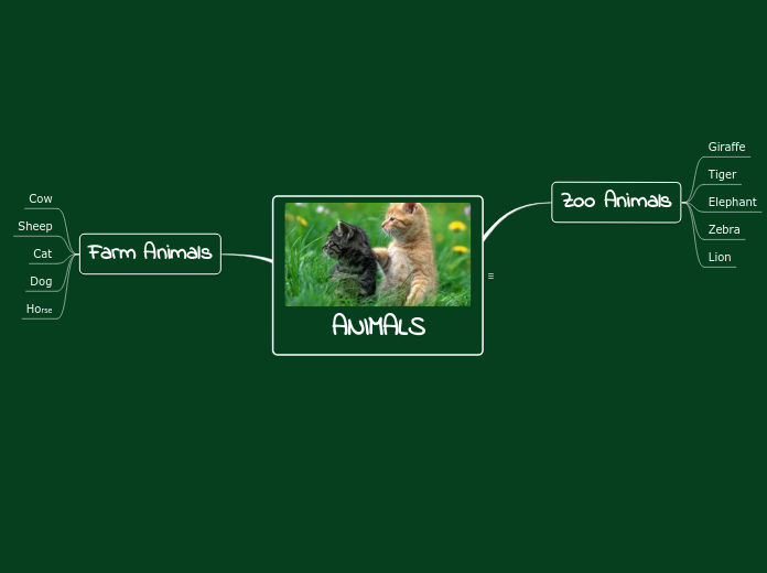 ANIMALS - Mindmap