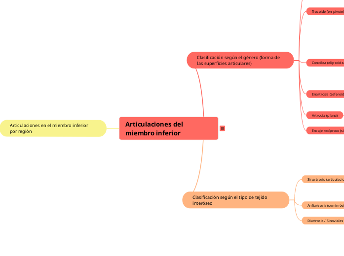 Estructura de las articulaciones del miembro inferior