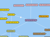 Antropología Histórica - Mapa Mental
