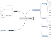 PMBOK Raquel Alamán - Mind Map