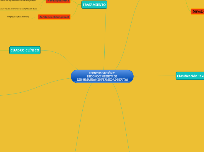 IDENTIFICACIÓN Y RECONOCIMIENTO DE LEIS...- Mapa Mental