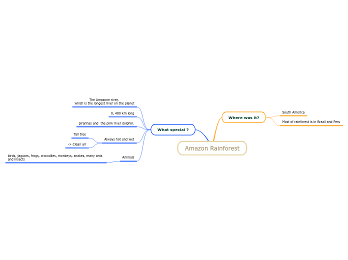 Amazon Rainforest Mind Map