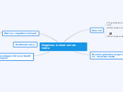 Negatieve invloed sociale media - Mindmap