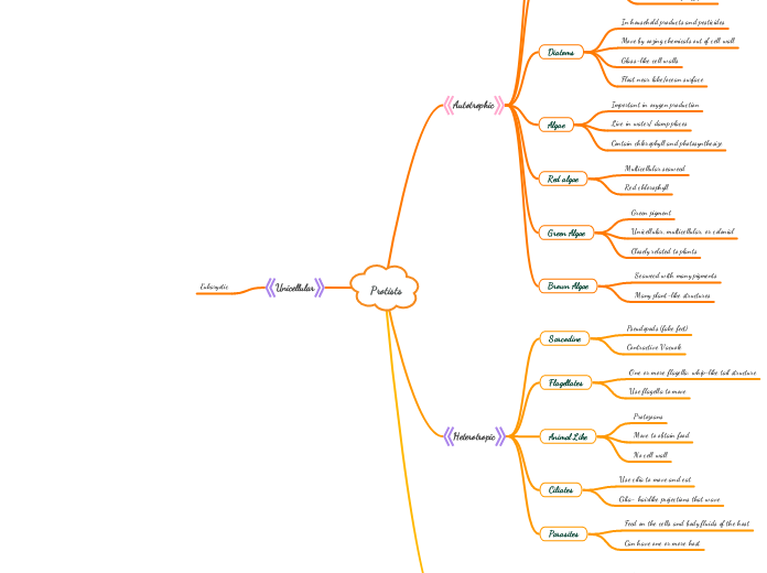 Protists - Mind Map