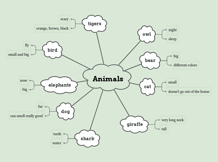 Animals - Mind Map