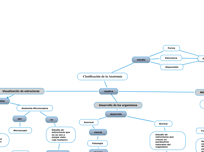 Clasificación de la Anatomía