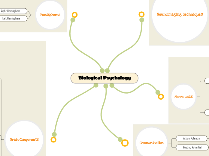 Biological Psychology - Mind Map