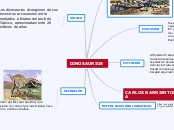 DINOSAURIOS - Mind Map DINOSAURIOS - Mind Map