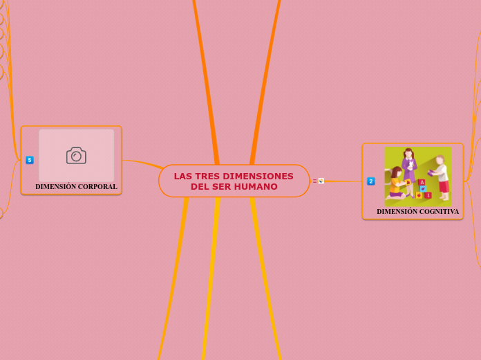 LAS TRES DIMENSIONES DEL SER HUMANO