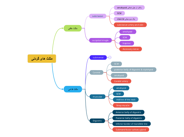 مثلث های گردنی - Mind Map