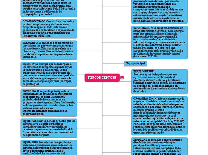 TGS CONCEPTOS!!  - Mapa Mental