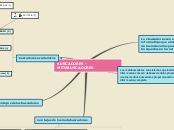 BUSCADORES -METABUSCADORES - Mapa Mental