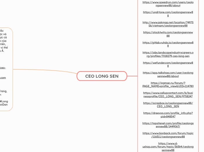 CEO LONG SEN - Mindmap