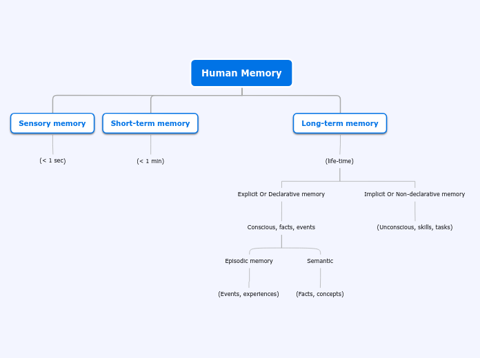 Human Memory - Mind Map