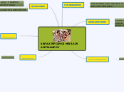 ΧΑΡΑΧΤΗΡΙΣΜΟΣ ΜΕΓΑΛΟΥ ΑΛΕΞΑΝΔΡΟΥ - Mind Map