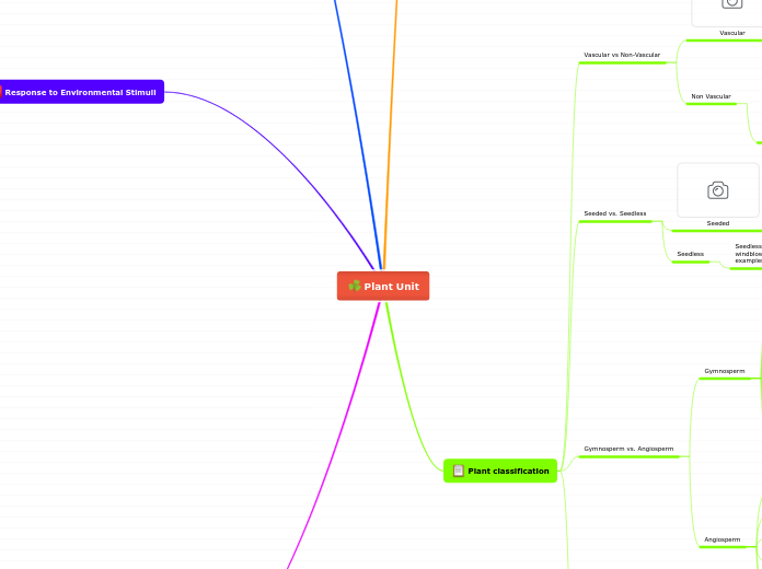 Plant Unit - Mind Map