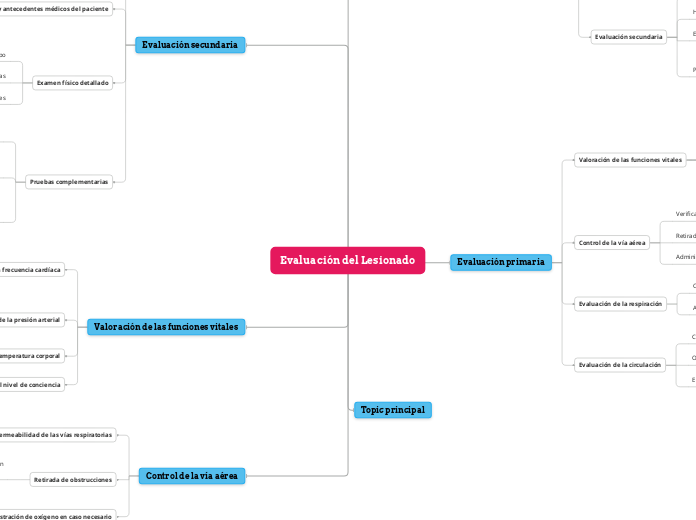 Evaluación del Lesionado
 - Mapa Mental