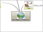 What Shapes an Ecosystem? - Mind Map