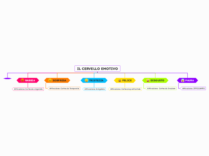 IL CERVELLO EMOTIVO