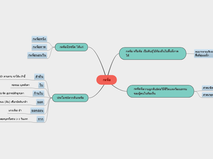 กะพ้อ - Mind Map