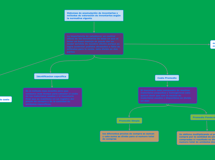 mapa conceptual de los sistemas de acum...- Mapa Mental
