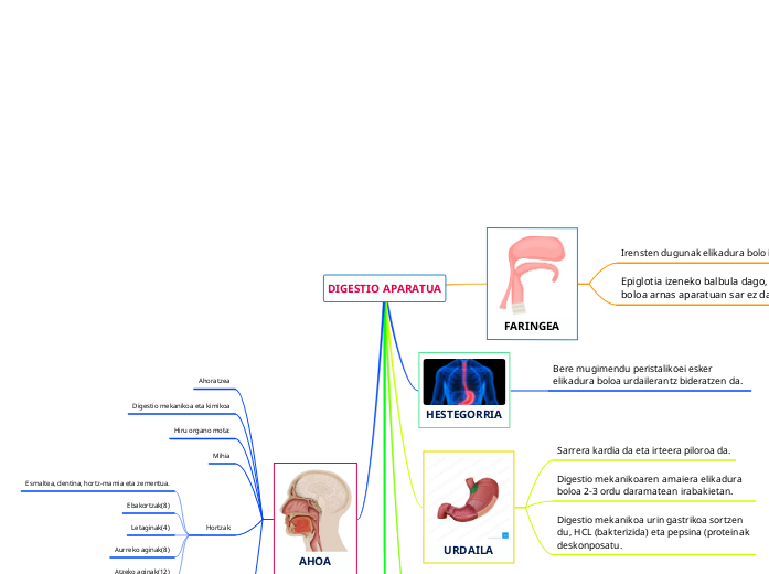 DIGESTIO APARATUA - Mind Map