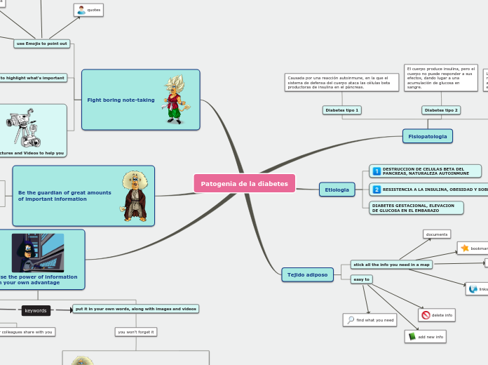 Patogenia de la diabetes - Mind Map