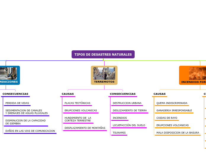 TIPOS DE DESASTRES NATURALES