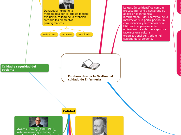 Fundamentos de la Gestión del cuidado d...- Mapa Mental