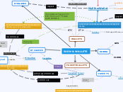 EARN &amp; WALLETS - Mind Map