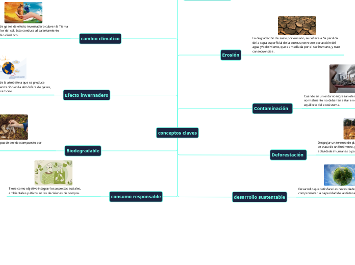 conceptos claves - Mapa Mental