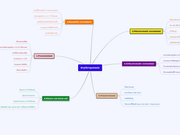 Erythropoiesis - Mind Map