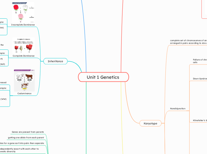 Unit 1 Genetics | Mindomo Mind Map