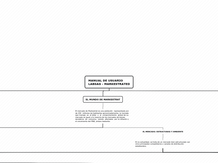 MANUAL DE USUARIO 
LABSAG - MARKESTRATE...- Mapa Mental