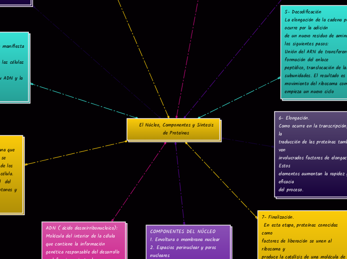     El Núcleo, Componentes y Síntesis 
...- Mapa Mental