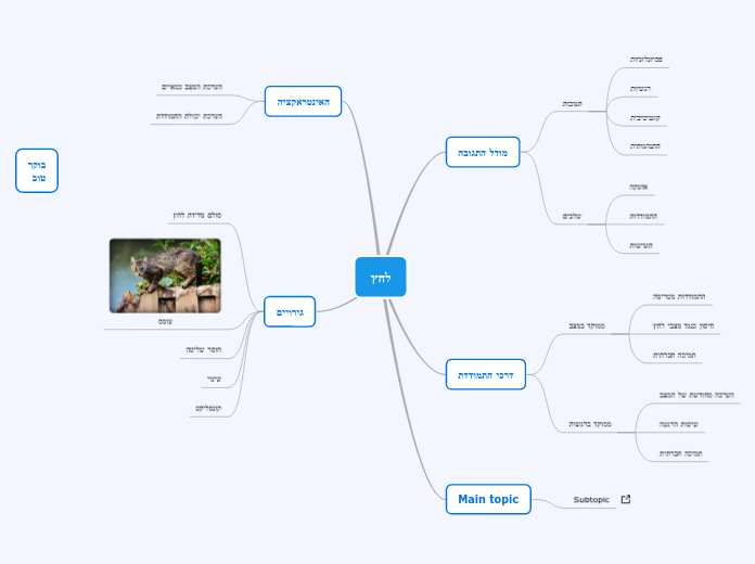 לחץ - Mind Map