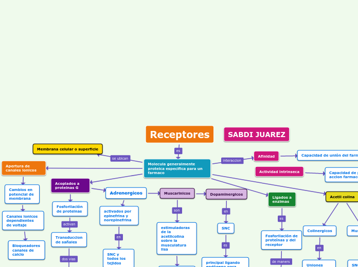 Receptores - Mapa Mental
