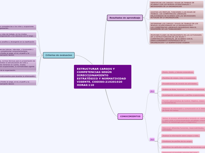 ESTRUCTURAR CARGOS Y COMPETENCIAS SEGÚN...- Mapa Mental