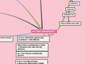 SISTEMA AMORNIZADO - Mapa Mental