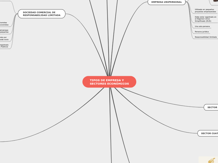 TIPOS DE EMPRESA Y 
SECTORES ECONÓMICOS - Mapa Mental