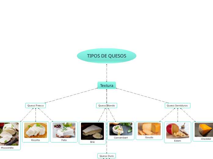 TIPOS DE QUESOS